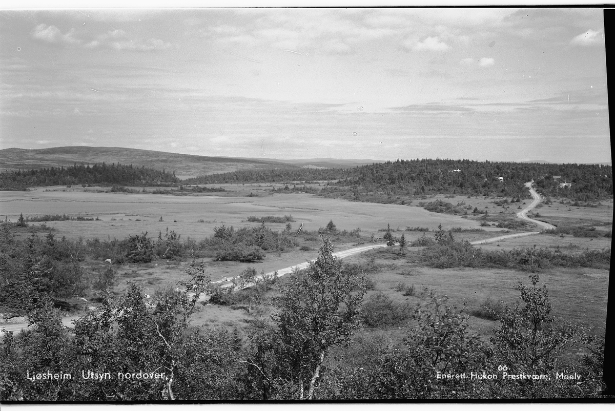 Håkon Prestkværn, LJØSHEIM i Ringsakfjellet, VEGEN MOT GRUNNÅSEN, KJERRINGTJERN. Postkort.
