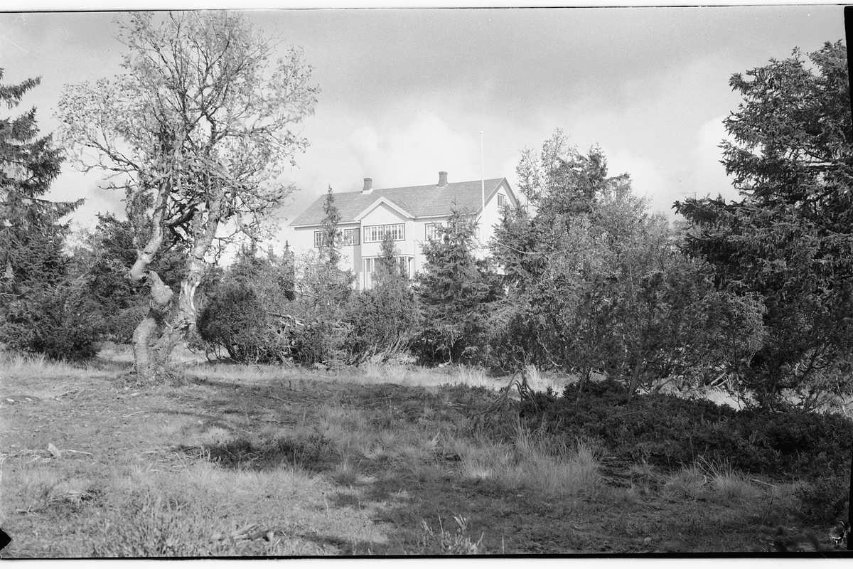 Håkon Prestkværn, HYGGA PENSJONAT, LJØSHEIM, Ringsaker.