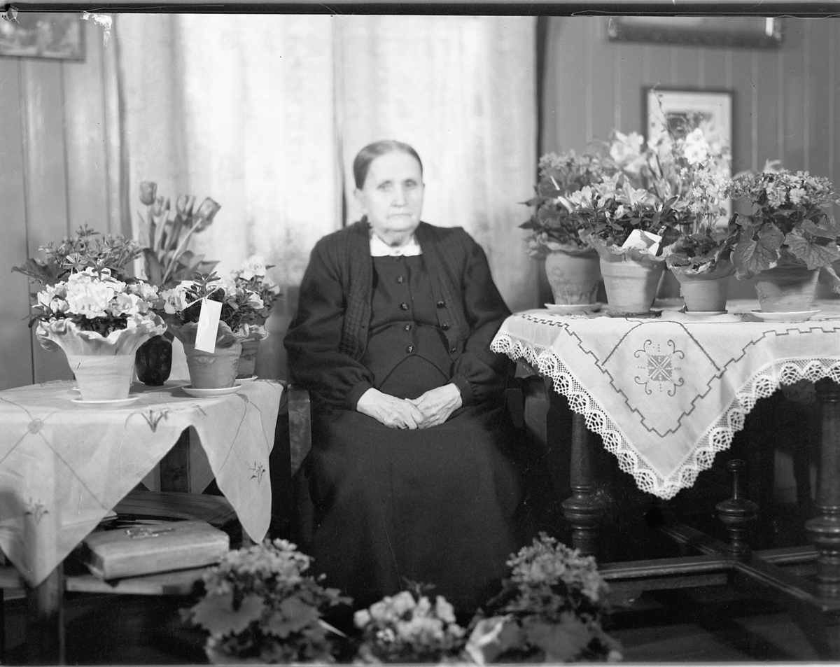 Håkon Prestkværn, FRU BAKKEN 80 ÅR, BLOMSTERBORD.