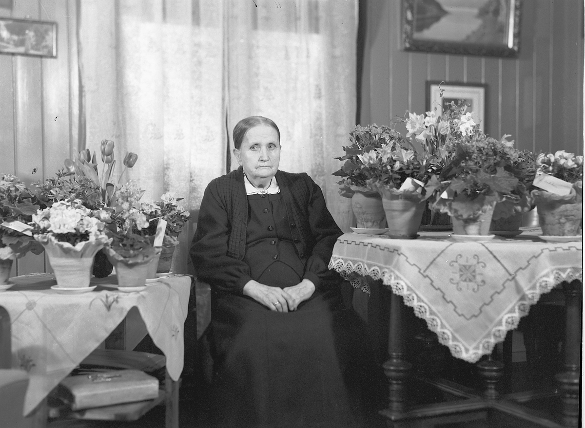 Håkon Prestkværn, FRU BAKKEN 80 ÅR, BLOMSTERBORD.