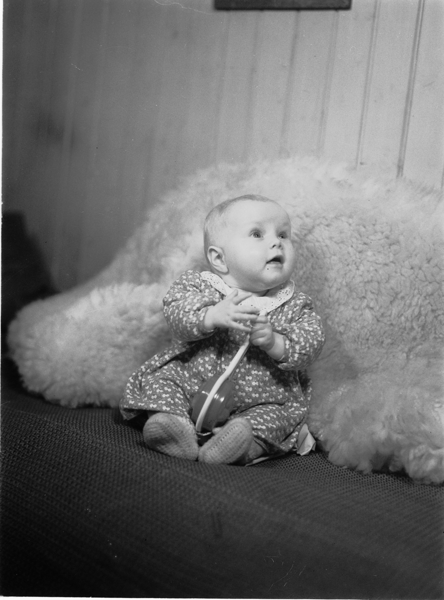Håkon Prestkværn, FAMILIE, BARN, OLAF TORGUNRUD.