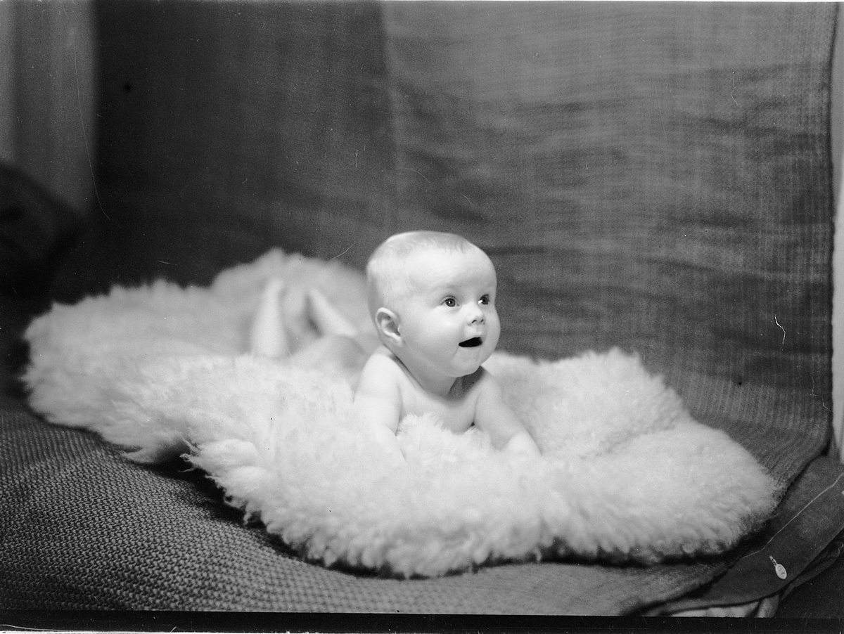 Håkon Prestkværn, FAMILIE, BARN, OLAF TORGUNRUD.