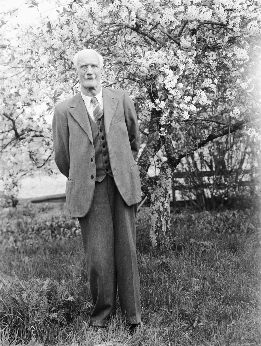 Håkon Prestkværn, MANN, TANGEN, 1947.