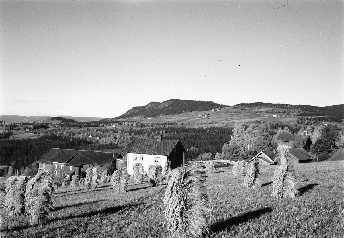 Håkon Prestkværn, Øvre Baardset gard, kornsnes, landskap, Ringsaker.