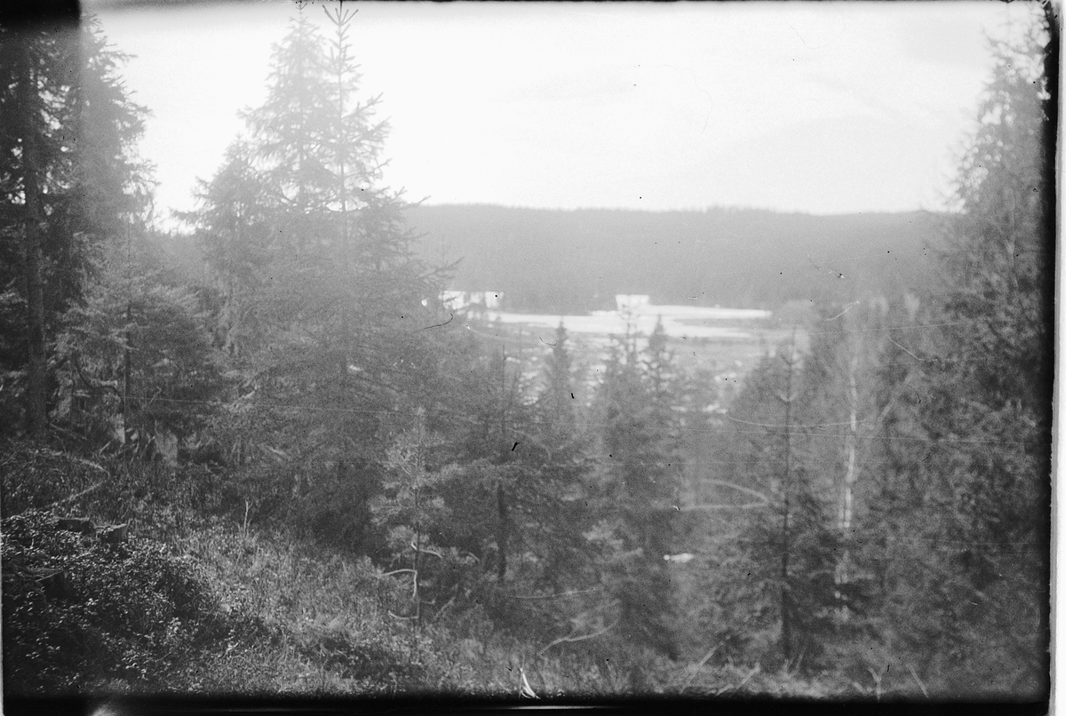 Håkon Prestkværn, Skog, landskap.