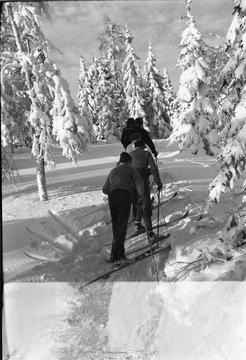 Håkon Prestkværn, Vinterlandskap: Ukjent gruppe mennesker på skitur i skogen.