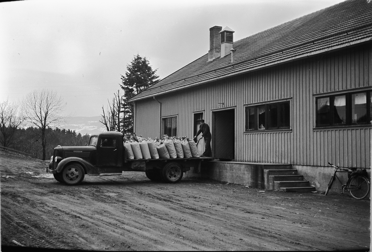 Håkon Prestkværn, EKSTERIØR STRAND BRÆNDERI I RINGSAKER, VÅREN 1947. BRENNERI,. LASTEBIL, DOGDE(EVNT. FARGO) ÅRSMODELL 1937-38, MED PAPIRSEKKER PÅ LASTEPLAN. MANN MED TRANSPORTTRALLE LESSER AV SEKKER PÅ RAMPA TIL SAFTPRESSERI/FRUKTLAGER. Dodge eller Fargo lastebil, årsmodell 1937-38.