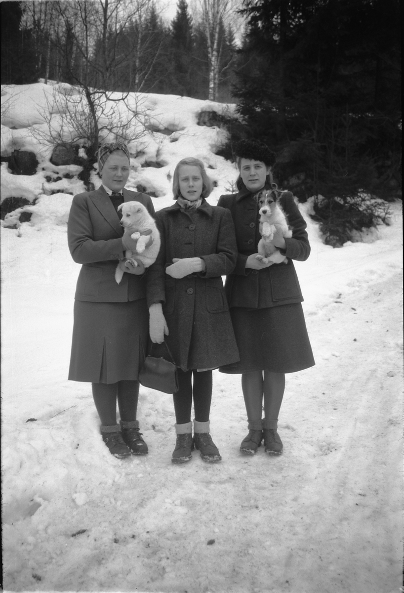Håkon Prestkværn, Tre ukjente kvinner med hundevalper.