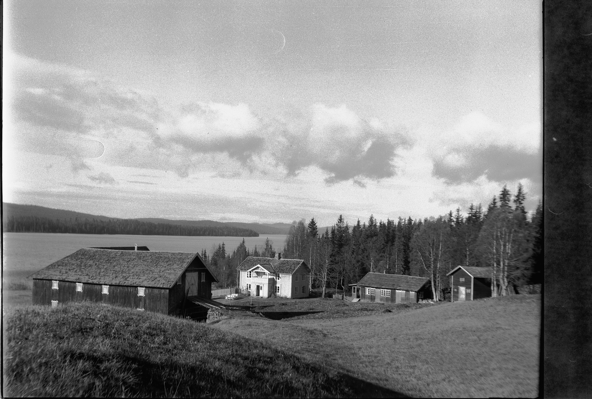 Håkon Prestkværn, Haug gård, Mesnalia, Ringsaker ,postkort.
