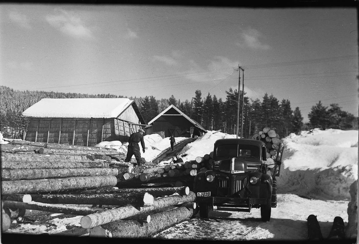 Håkon Prestkværn, FORD 46-47 LAST TØMMERTRANSPORT, FRONTALT.