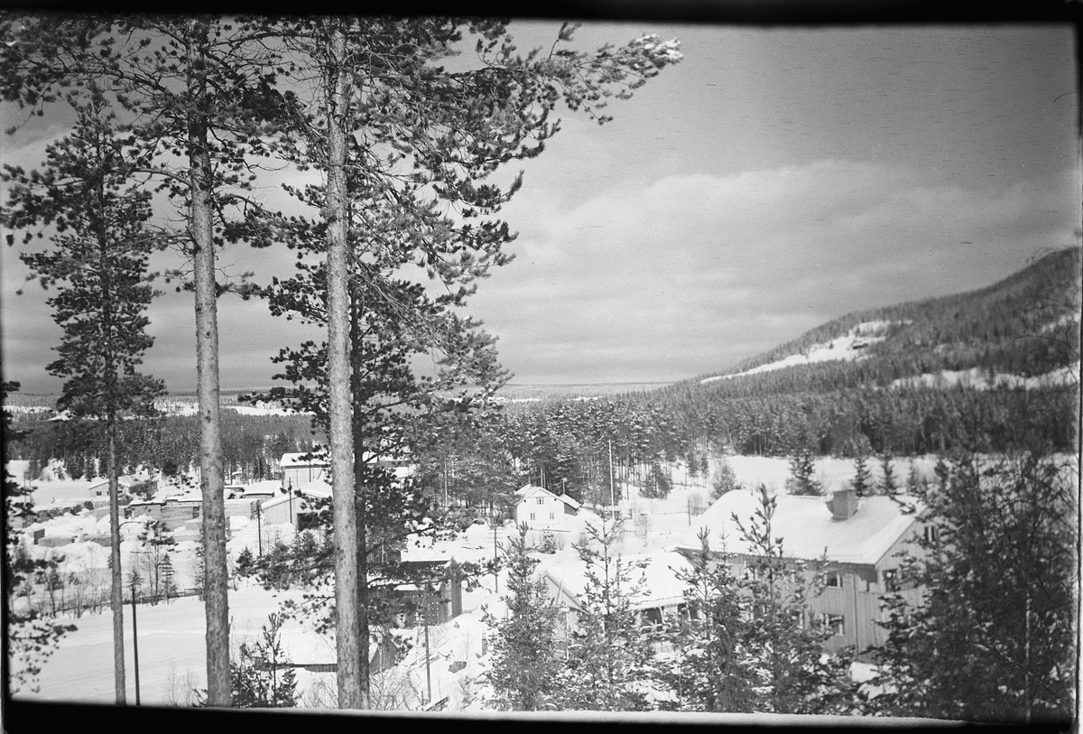 Håkon Prestkværn, Vinterlandskap med bebyggelse. Oversiktsbilde over Ringsaker Almenningssagtomt på Buvika ved Næroset. Huset nærmest til høyre er administrasjonsbygget fra 1949(?).