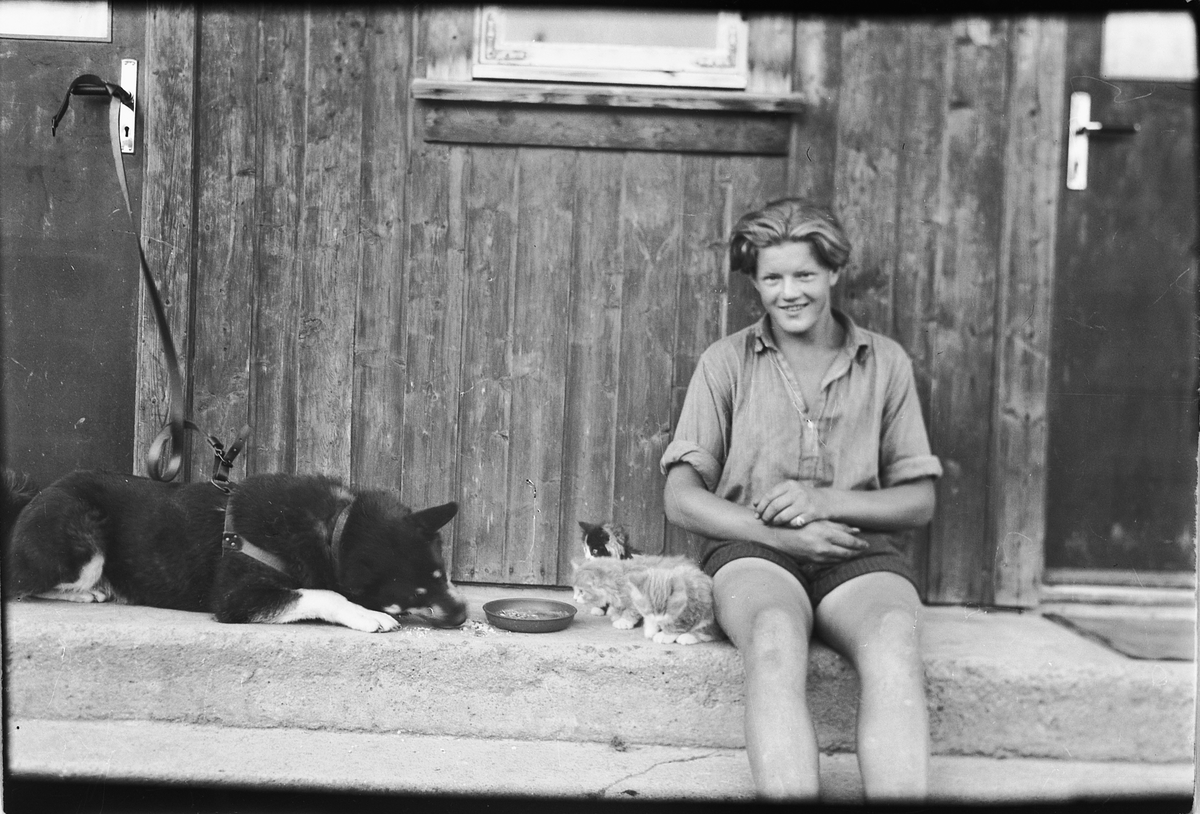 Håkon Prestkværn, Gutt sitter på trammen med en hund og tre kattunger.