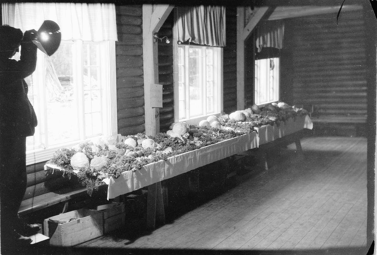Håkon Prestkværn, Hodekål og gulrøtter på en benk. 4H-utstilling. Høstfest for klubbene i Ringsaker på Nærvang i Næroset 1948 eller 1949. De første klubbene ble startet i 1948 og oppgavene var hovedsakelig dyrking av grønnsaker, husstell og håndarbeid. På landsbasis var klubbene organisert gjennom "Landslaget for no…