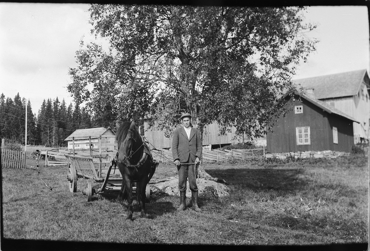 Håkon Prestkværn, HEST MED HØYVOGN.