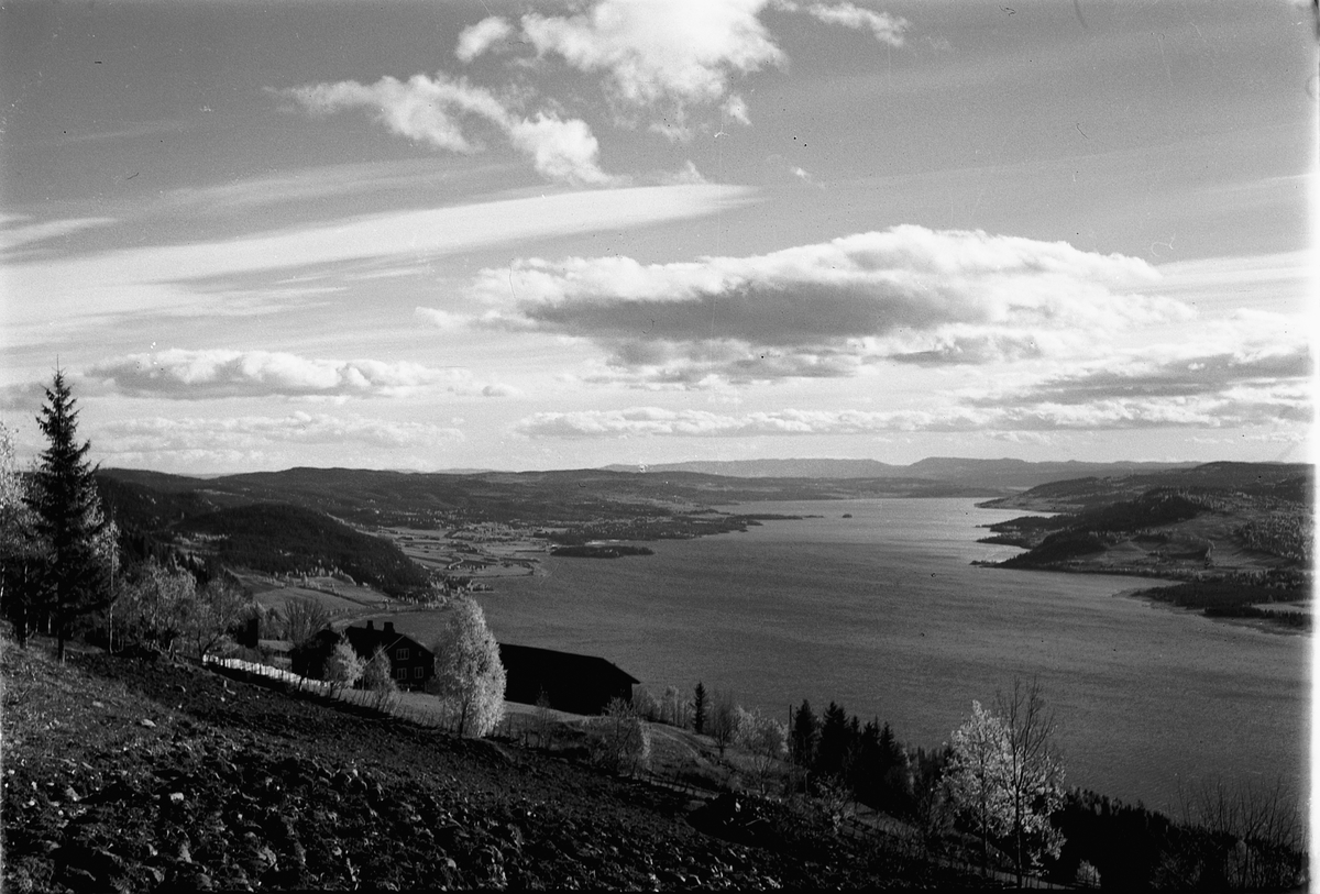 Håkon Prestkværn, PANORAMAUTSIKT OVER RINGSAKER OG MJØSA FRA BRØTTUM.