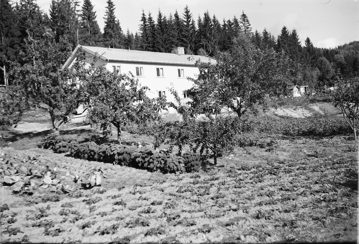 Håkon Prestkværn, Eksteriør, hus med hage.