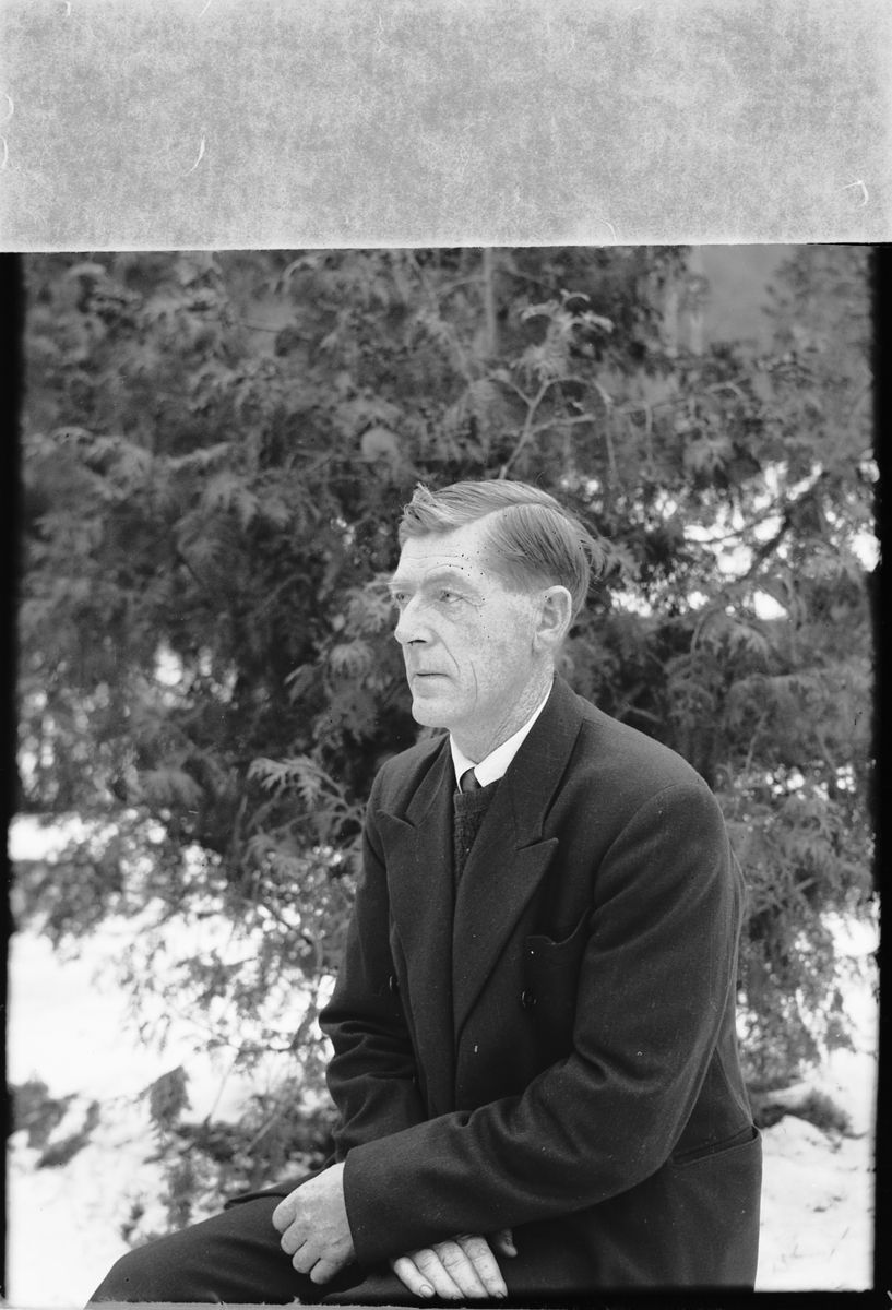 Håkon Prestkværn, Ukjent mann foran et grantre.