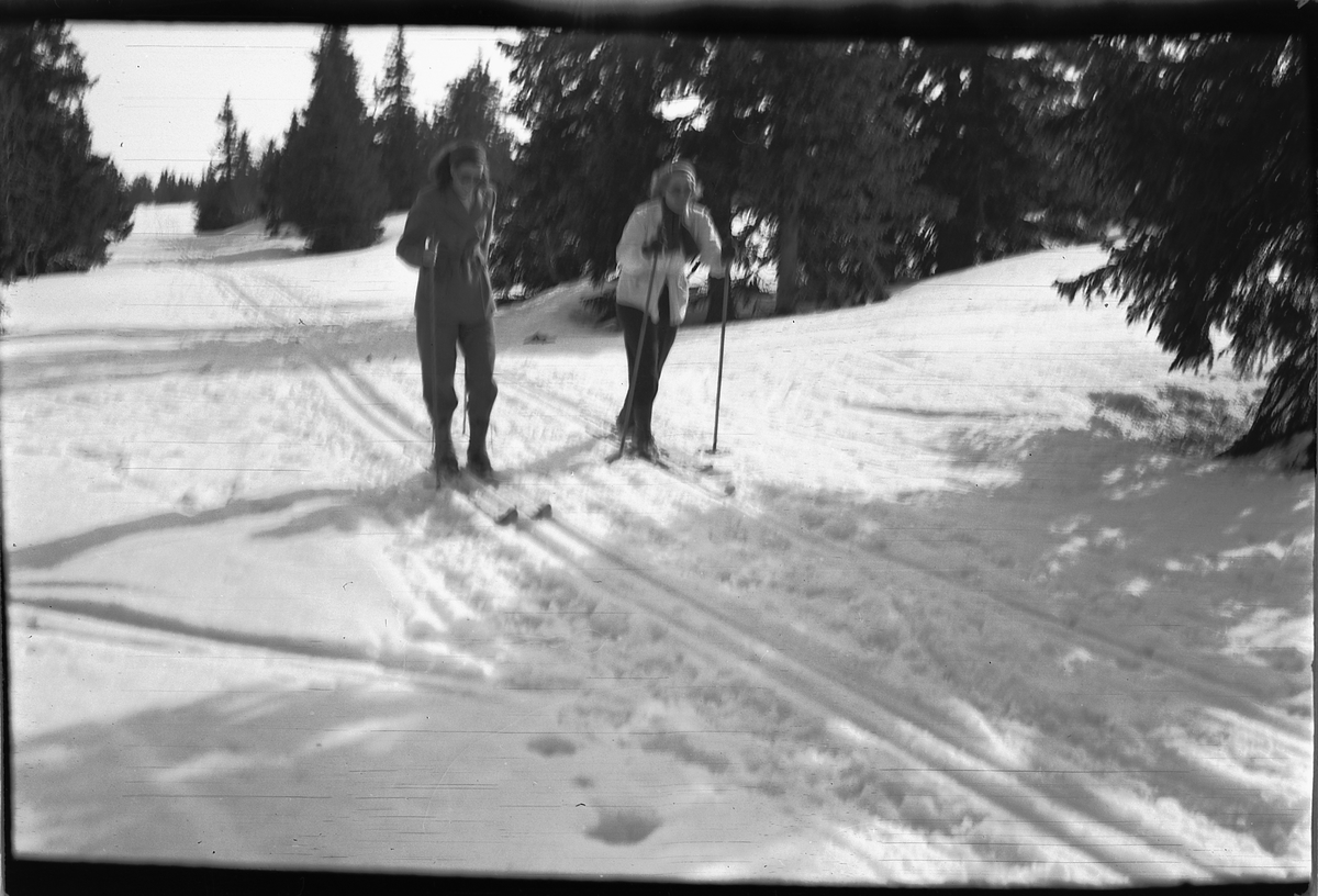 Håkon Prestkværn, To kvinner på ski i skogen.