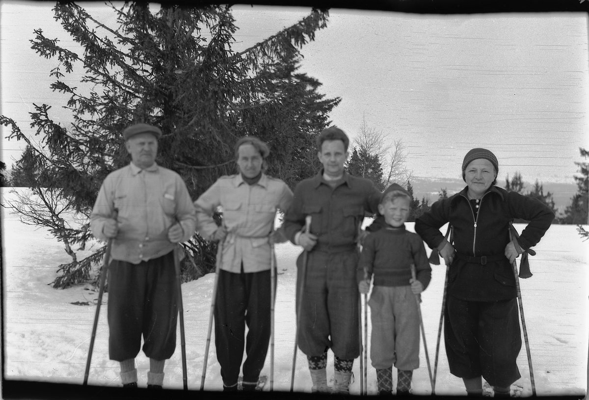 Håkon Prestkværn, Gruppe skigåere i skogen.