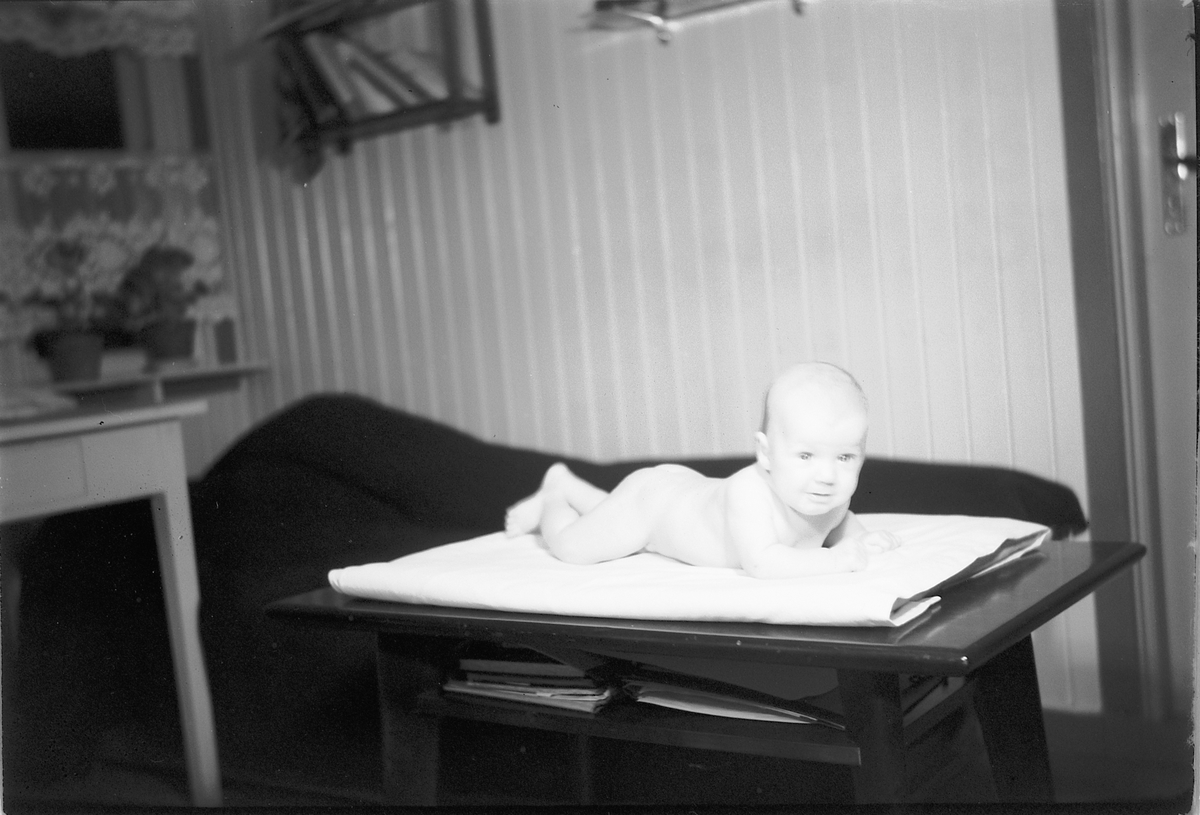 Håkon Prestkværn, Baby på et bord.