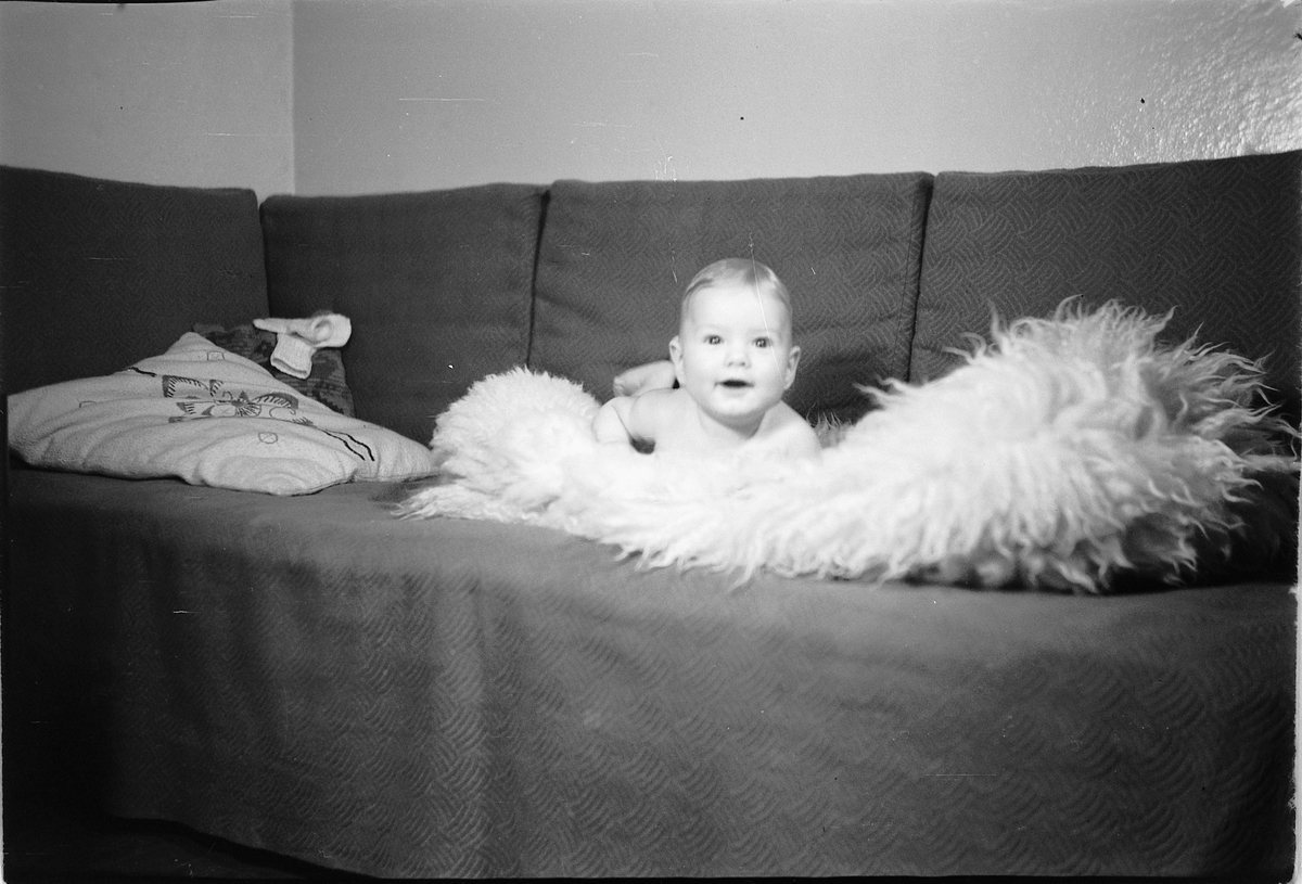Håkon Prestkværn, Baby i en sofa. Fotokonvolutten mrk. "Simensen barn, beg. mars 1949"