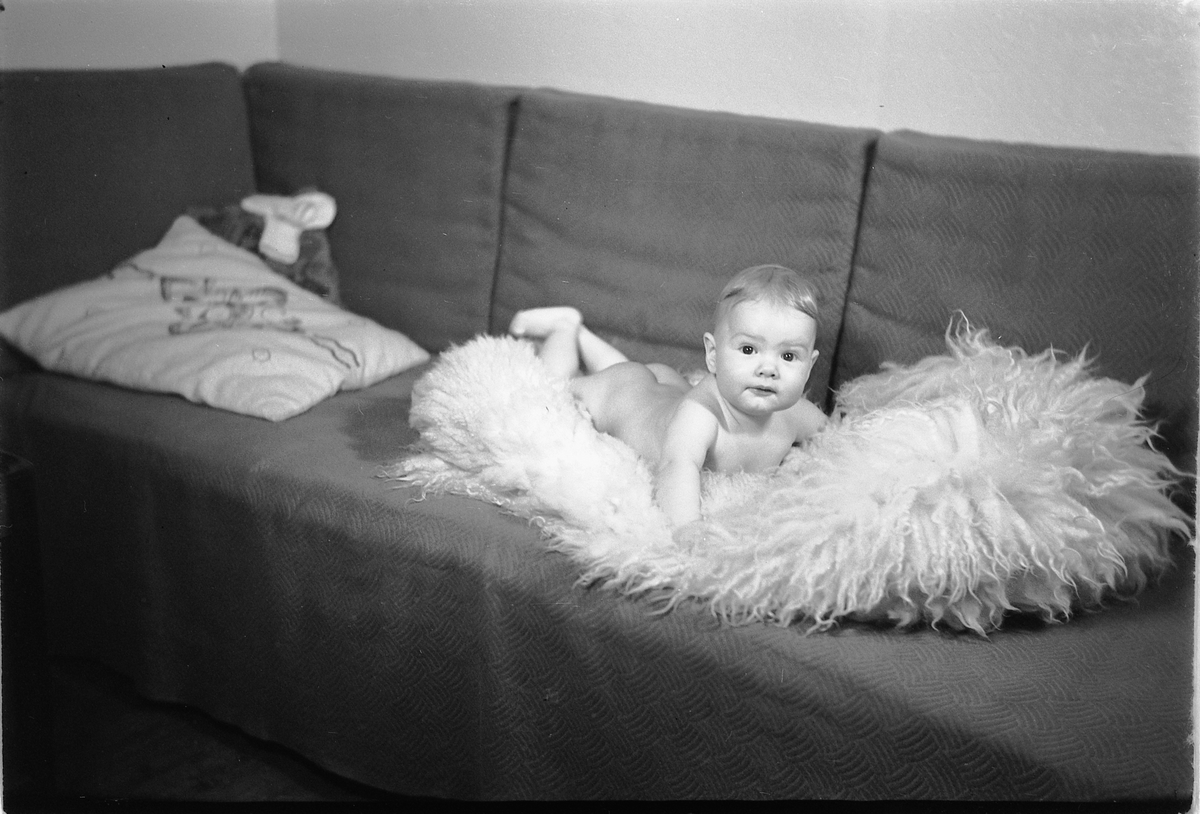 Håkon Prestkværn, Baby i en sofa. Fotokonvolutten mrk. "Simensen barn, beg. mars 1949"