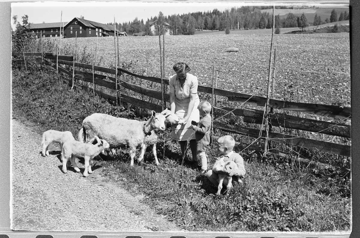 Håkon Prestkværn, Ei kvinne med to barn som mater en sau og lam.