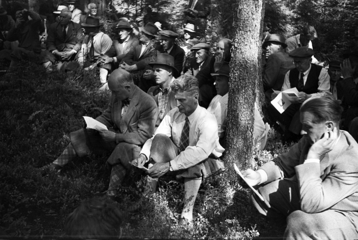 Håkon Prestkværn, Buvika sagbruk, skogbefaring, Ringsaker allmenning. Juni 1949.