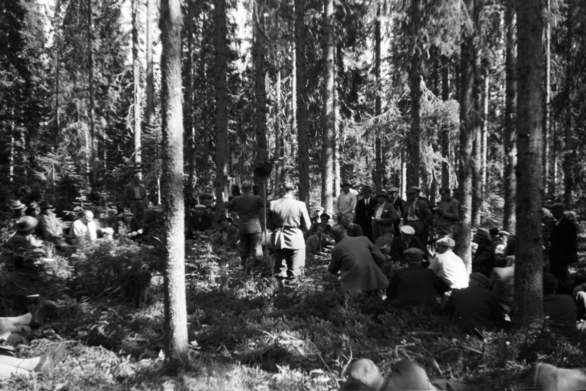 Håkon Prestkværn, Buvika sagbruk, skogbefaring, Ringsaker allmenning. Juni 1949. Gruppe menn i skogen.