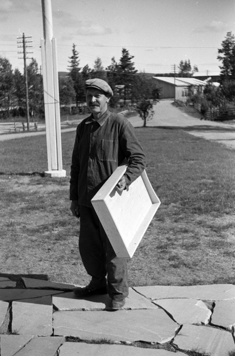 Håkon Prestkværn, Buvika sagbruk, skogbefaring, Ringsaker allmenning. Juni 1949.