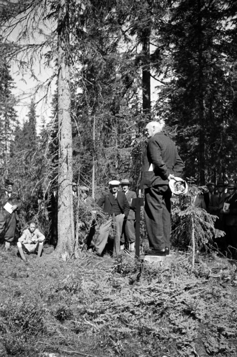 Håkon Prestkværn, Buvika sagbruk, skogbefaring, Ringsaker allmenning. Juni 1949.