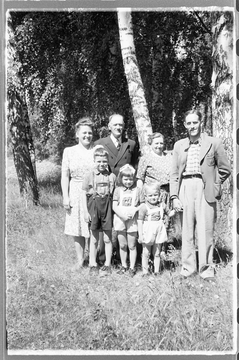 Håkon Prestkværn, Ukjent familiegruppe ved bjørketrær.