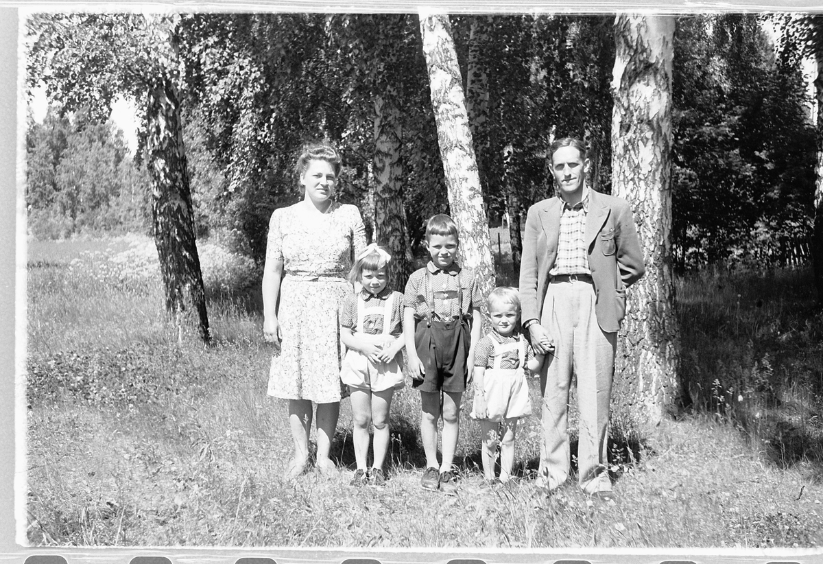 Håkon Prestkværn, Ukjent familiegruppe ved bjørketrær.
