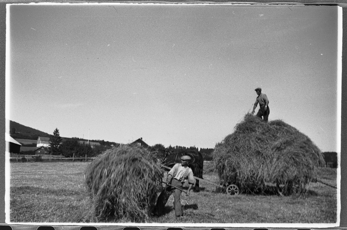 Håkon Prestkværn, HØYONN, KJØRING MED HEST OG HØYVOGN. Slåttonn, høylass.