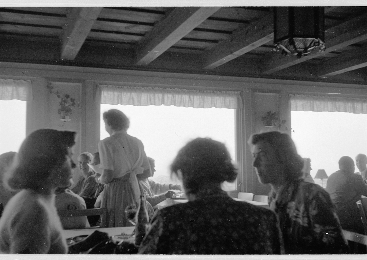 Håkon Prestkværn, KAFE VED VERDENS ENDE, TJØME, VESTFOLD.
