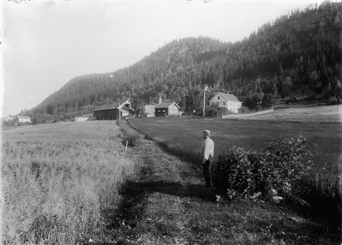 Kristoffer Horne, Ambli på Ring i Ringsaker, sett sørfra.