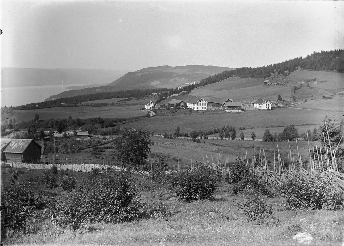 Kristoffer Horne, LANDSKAP, OVERSIKT, SÆTER GARD, RING, RINGSAKER.