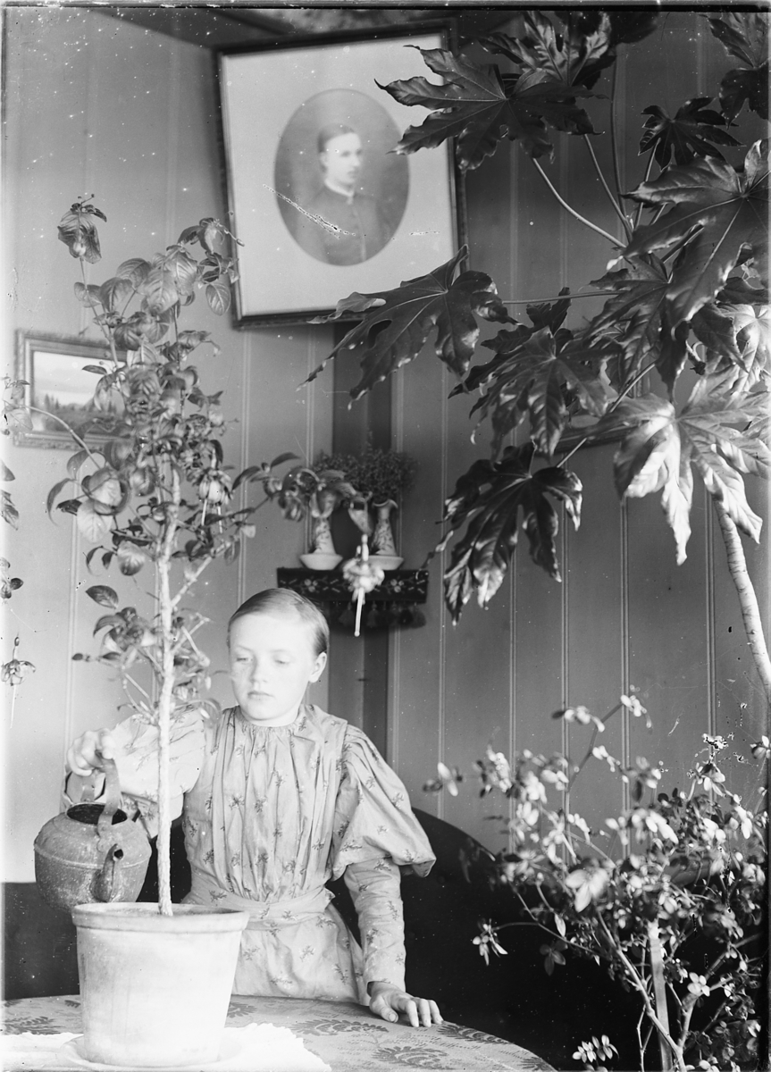 Kristoffer Horne, Interiør, stue. Karen Horne, Fjelstad, vanner en plante.
