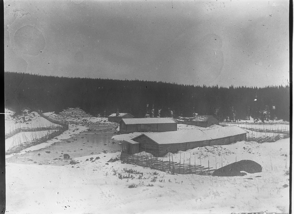 Kristoffer Horne, Setervang og meieri (startet av Anton Fjelstad) på Hynna, Gausdal.