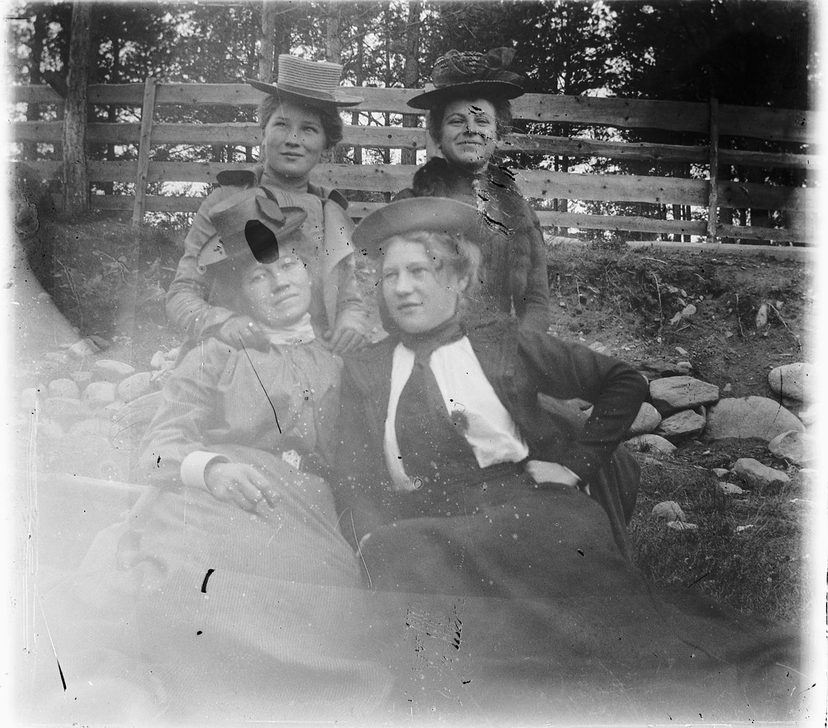 Ragnvald Andersen, Fire kvinner foran et gjerde.