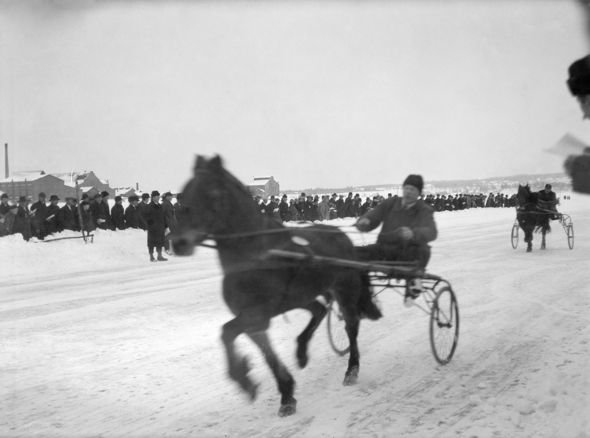 Ragnvald Andersen, Veslemjøsa. Travløp på isen på Mjøsa.