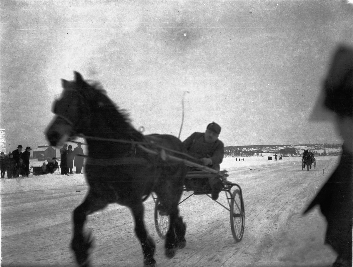 Ragnvald Andersen, Veslemjøsa. Travløp på isen på Mjøsa.