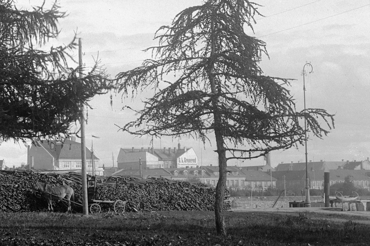 Hans Emil Erichsen, Høiensalodden i Hamar. Vedlager. Kostved som kom med Mjsøbåter fra Totenvika. Utsnitt.