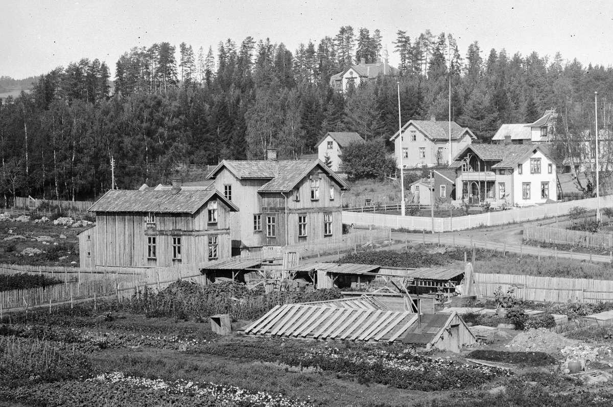 Hans Emil Erichsen, Sangen. Bebyggelse ved krysset Hakabekkvegen og Fredrik Monsensgate i Hamar. I forgrunnen er Mathias Røhnes gartneri, senere overtatt av Hugo Hoffsten. Utsnitt.