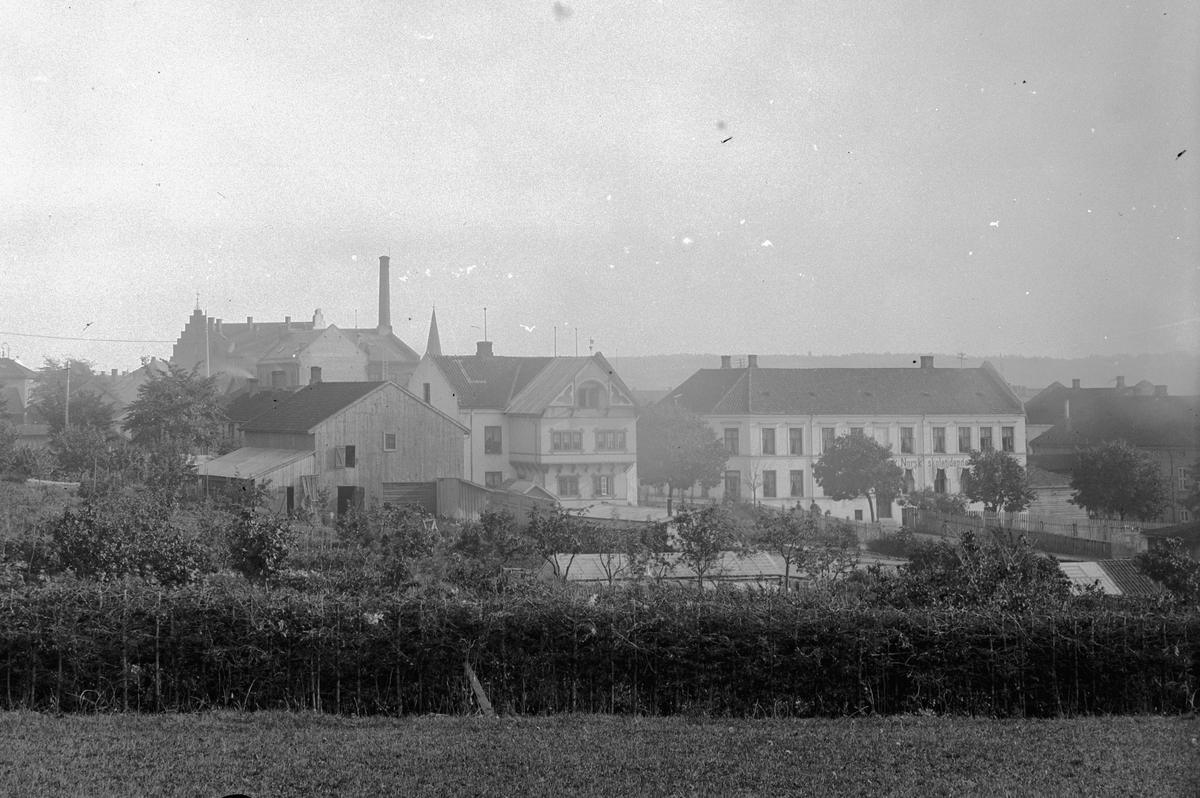 Hans Emil Erichsen, Nedre Sagatun med Nordstrøms gartneri.