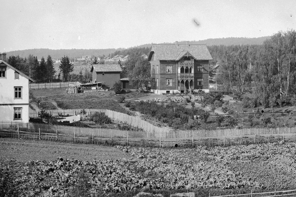 Hans Emil Erichsen, Sangen. Hakabekkvegen i Hamar. I forgrunnen er Mathias Røhnes gartneri, senere Hugo Hoffsten.