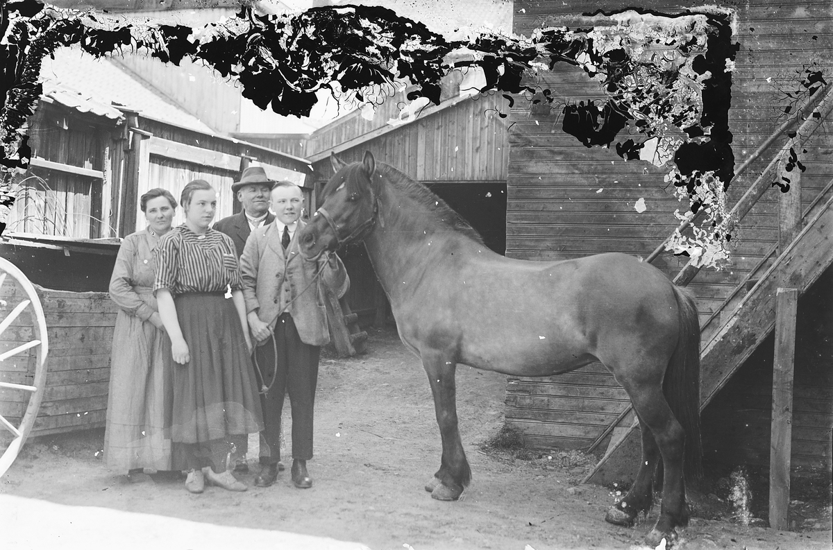 Oscar Løberg, Fra bakgården i Grønnegata 3, Hamar. Fire personer med en hest, hoppa Fjøra. Mannen nr. to f. h er pølsemaker Johs. Elvsveen. De andre er Anne Elvsveen, Louise Elvsveen og Birger Elvsveen.