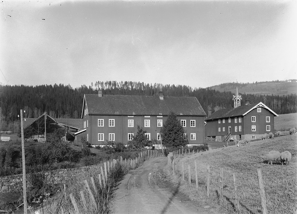 Simen Baardseth, DÆLI GARD, BRØTTUM, Ringsaker.