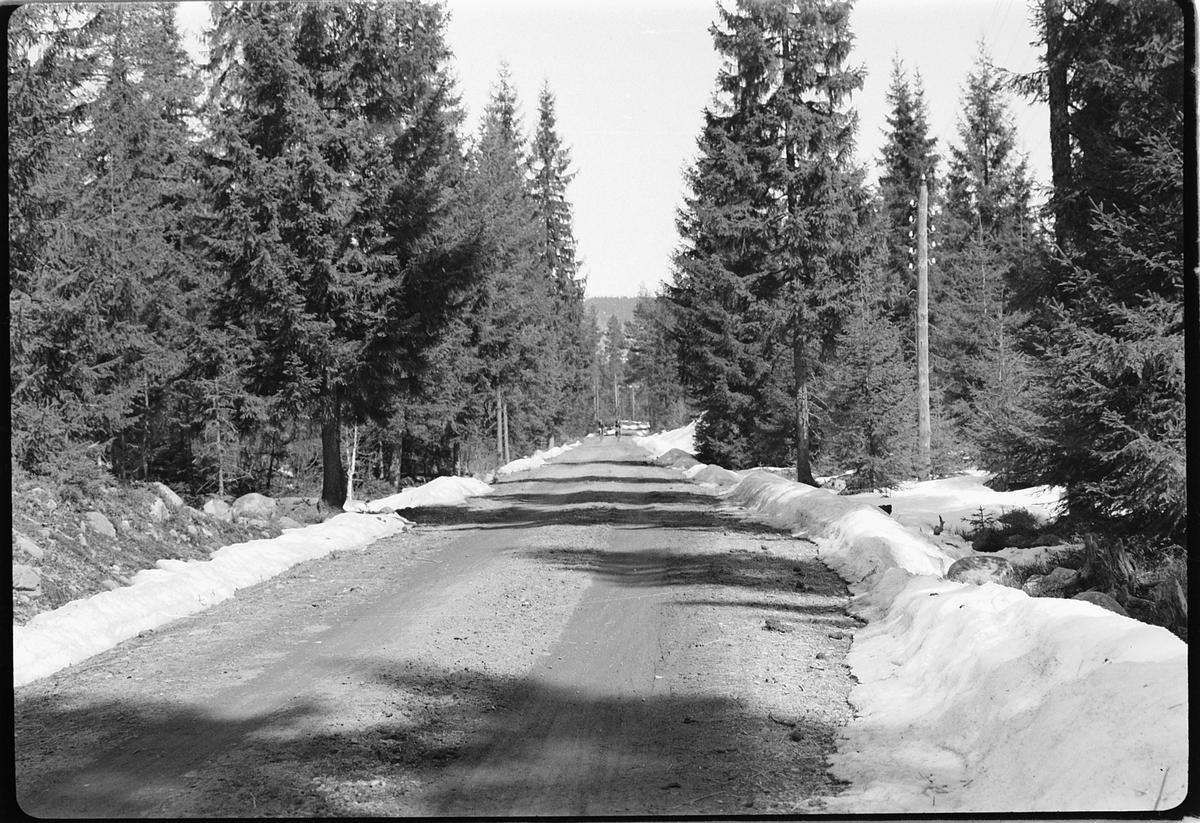Simen Baardseth, To syklister på en vei i skogen.