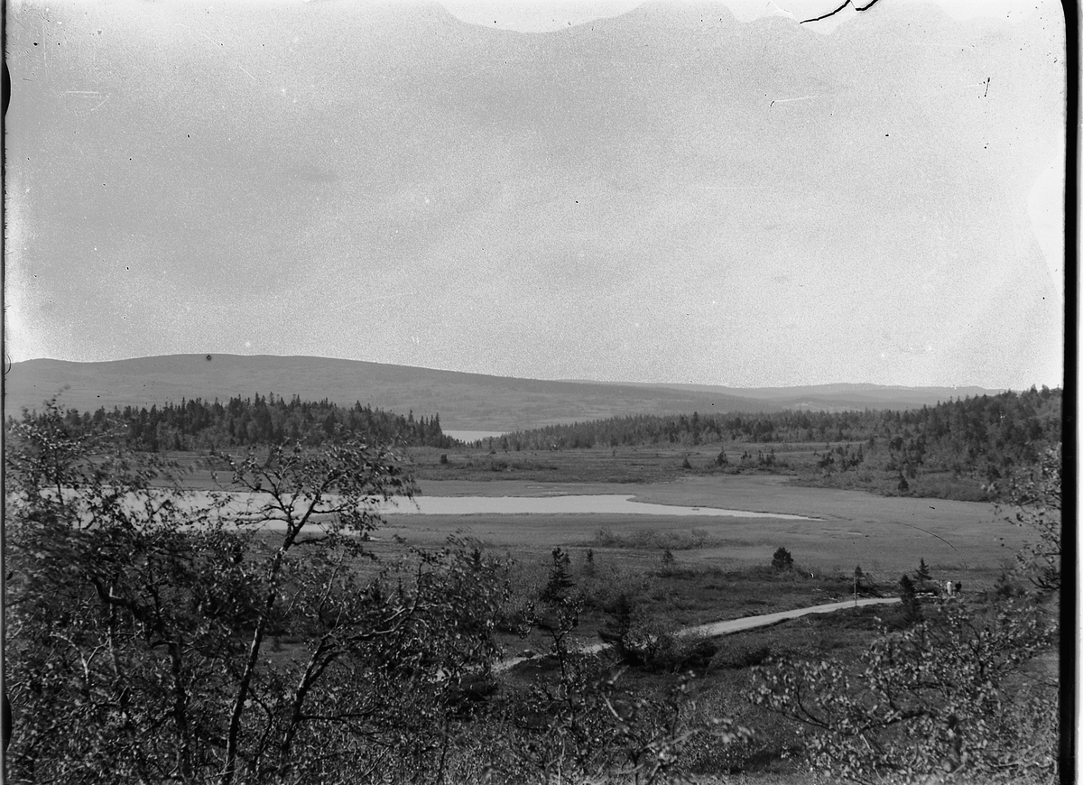 Simen Baardseth, Kjerringtjernet bak Grunna, Ljøsheim i Ringsaker.